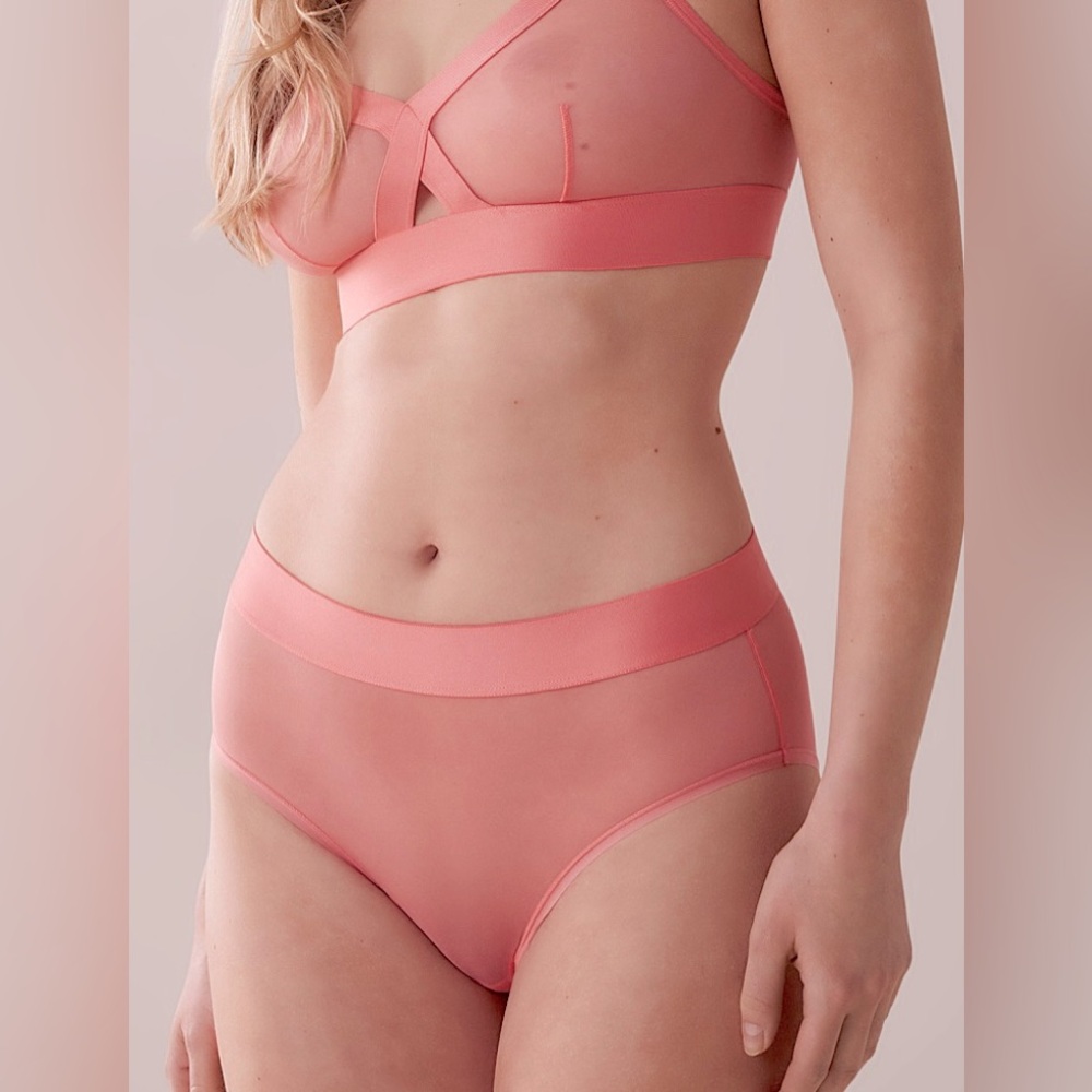 DKNY Women's Sheers Brief Underwear, DK8195 (Shell Pink) NEW  SZ XLG